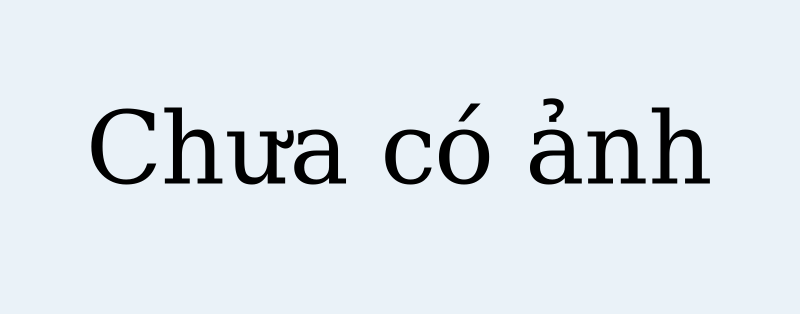 Chuyển đổi số